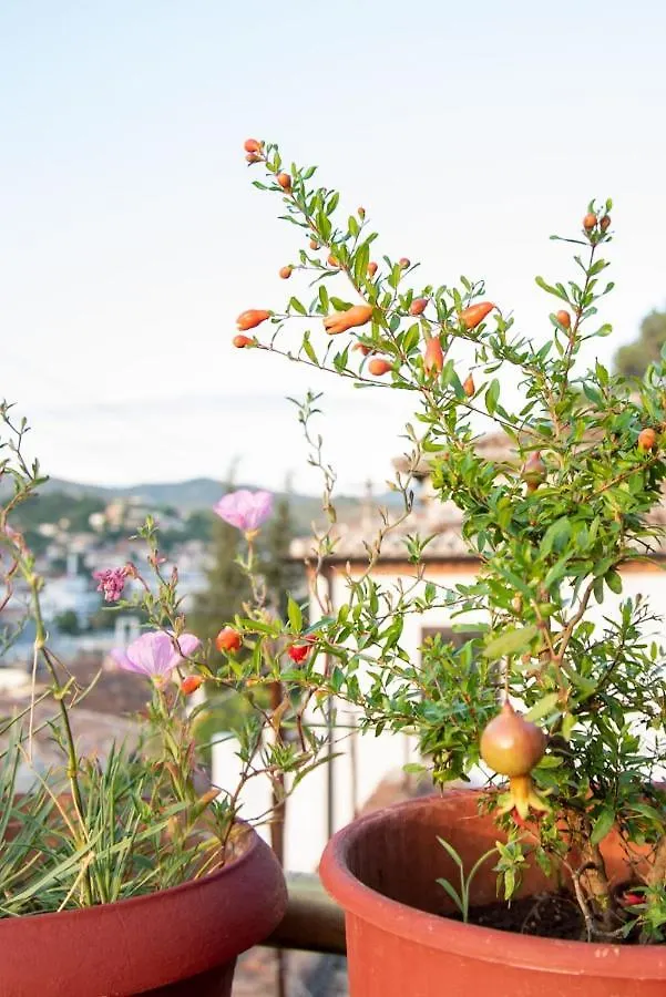 Гостевой дом Guesthouse Belle View Берат Албания
