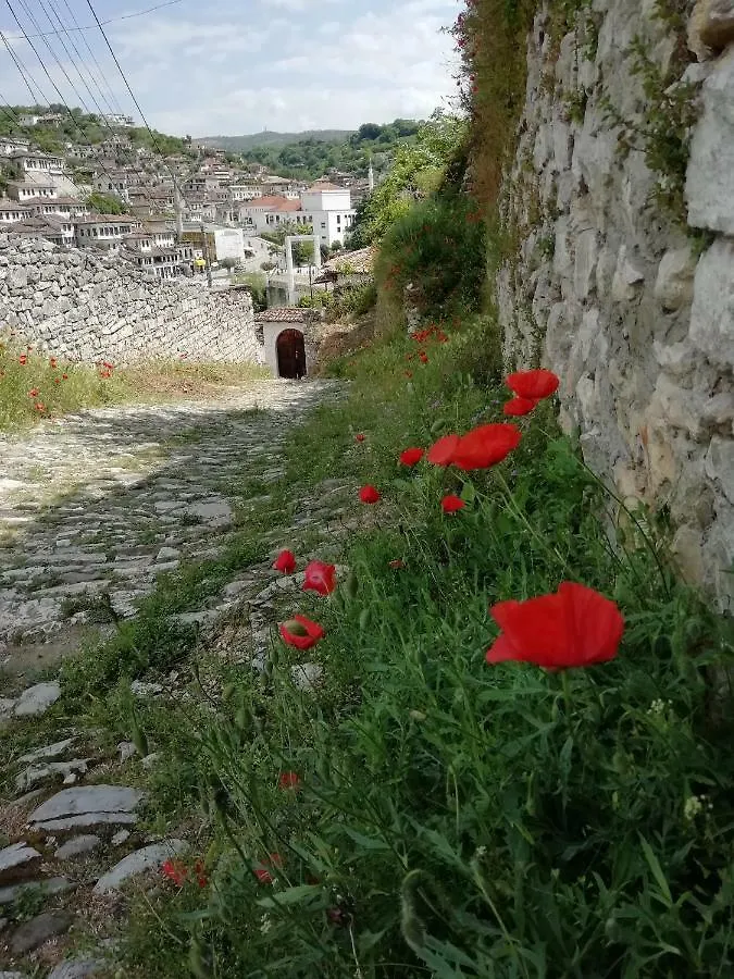 Guesthouse Belle View Berat Pensionat